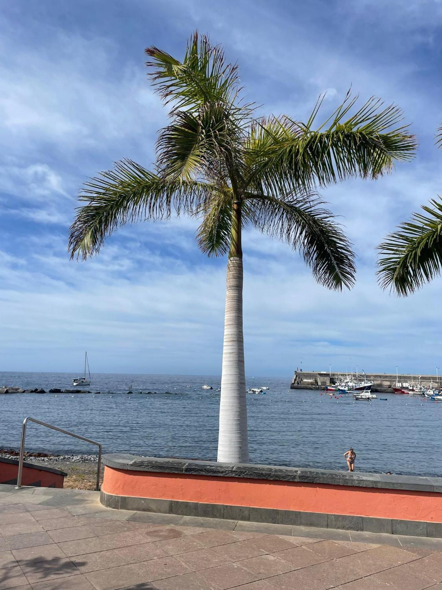Seaside Paradise - 2 Bedroom Apartment With Ocean Views & Air Conditioning In Playa San Juan Extérieur photo